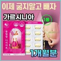 건강한 다이어트 보조제 비타민 B군 판토텐산 체 지방 감소 가르시니아 단기 단기간 3일 5일 7일 녹차 추출물 히비스커스 레몬밤 뱃살 팔뚝살 빼는법 몸무게 감량 HCA 홈쇼핑 효능