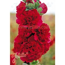 피어나라야생화 겹접시꽃 씨앗 (빨강) 1Set 20닙, 1개