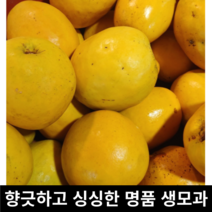 [국산/국내산] 국내산 자연산 생모과 대과 5kg 3kg / 샛노란 모과차 향긋하고 싱싱한 생 모과 모과청 중과 소 모과과일 모과생과 모가, 5kg 중