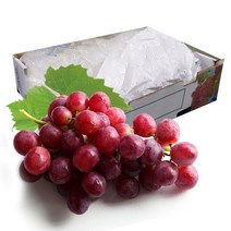 [오렌지씨푸드] 껍질째먹는 포도 거봉 8.2kg, 상세 설명 참조