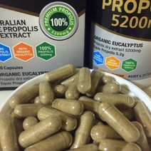 닥터프로 호주산 프로폴리스 5200mg 180캡슐 고함량 먹는방법 호주 직구 구입처 판매사이트 추천 복용법, 1개