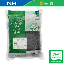 친환경 22년산 국산 무농약 약콩 쥐눈이콩 서목태 1kg, 1개