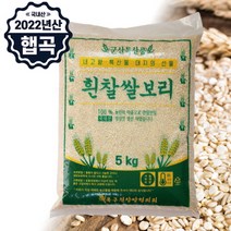 [하루세끼쌀] 22년 햅곡 잡곡 흰찰쌀보리 5kg 건강쌀 잡곡쌀 찰보리 건강미