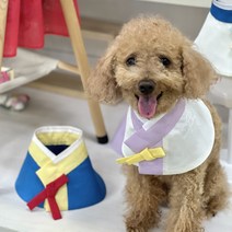 강아지 명절 한복 케이프 애견 설빔 추석 선물 대형견 고양이 맞춤 사이즈, 기타(메시지 주세요!)