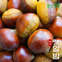 [농협] 토실토실 햇밤 순창 알밤 특대 3kg (제수용), 단품