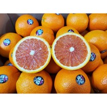 오렌지 퓨어스펙 블랙라벨 오렌지 프리미엄 고당도 네이블 오렌지 최상급 정품 대과 인피솔, B. 10kg (250g내외 x 40과)