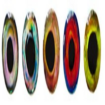 Brule 3-D Hard Epoxy Eyes (Combo2 5mm), 1