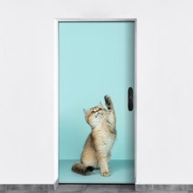 웰텍스 방문 시트지 현관문 리폼 동물 디자인 UV실사, 애니멀04 브리티시 숏