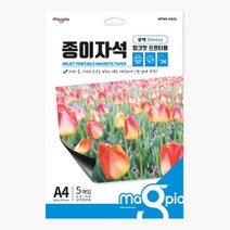 문구랑만들기랑 인쇄용 종이자석 마그피아 종이자석 유광 (W210xL297) 5개입