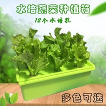 베란다 재배 디바이스 반찬 기계 방안 워터 상자를 심는 플라스틱화분 가든픽, T04-초록이 산소증폭 물 배상자, C01-중하