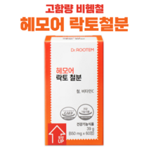 닥터루템 헤모어 락토 철분 고함량 비헴철 30mg, 2개