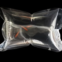 달자샵 10+10 *물고기 아님* 물고기 안전운송 충격방지 비닐어항 세트 열대어 판매 선물 다용도 두꺼운 비닐, 1세트(10P)+1세트(10P)
