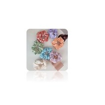 Women and Girls Shifon & Satin Random Color & Print Rubber Band (Pack of 10) (06)