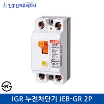 진흥 IGR 누전차단기 JEB-GR 2P 20/30A, 20A