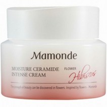 보습 영양 피부장벽강화 고함량 세라마이드 크림 10000 ppm 주름개선 함유량 올인원 크림, 1개