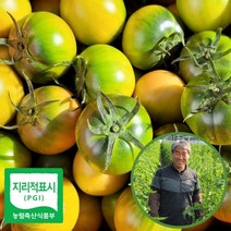 [대저농협인증]대저 짭짤이 토마토 2.5kg/당일수확/당일발송, 중소과(S과)2.5kg(짭짤이토마토)