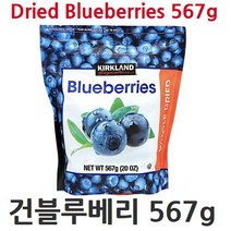 [RA㏓] co커클랜드 건블루베리 567g 건과일 말린 수입 코스트코 건과 ▷_§Ea, 《본상품》