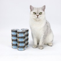 희동이네 고양이 간식 ANF 고양이캔 참치 치킨무스 95g 영양성분 좋은 고양이 주식 사료캔