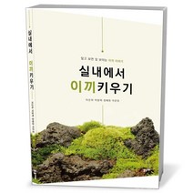 실내에서 이끼키우기