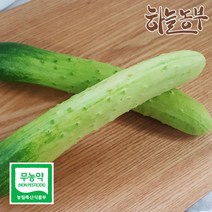하늘농부 친환경 오이, 1봉, 오이 2입