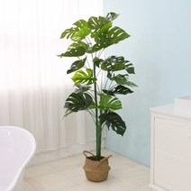 조아트 아레카 야자 인조나무 조화나무 소철 자작나무 벚꽃나무, 그린라인몬스테라165cm