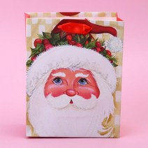 고급 산타클로스 종이쇼핑백 리유저블백 포장D0308B, 18x23x8cm(a)