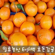 새콤달콤 고당도 효돈감귤(타이벡) 5kg - 주문당일선별발송, 10kg 중간귤