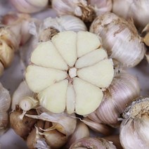 2023년 전라남도 장아찌용 햇마늘 통마늘 3kg 5kg, 전라남도 햇 마늘 통마늘 소 3kg, 1개