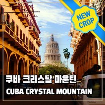 (커피생두) 257 쿠바 크리스탈 마운틴 1kg, 1개