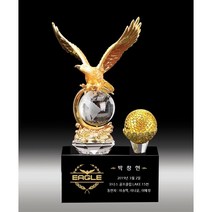 상패타운 이글패 싱글패 홀인원패 골프트로피 이글트로피 HT 351-3, HT 351-3 금색도금공포함