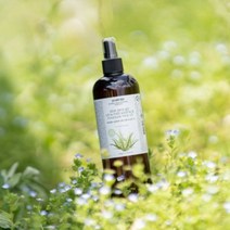 유안재 알로에 약산성 진정 수분 미스트 스프레이 490g, 1개