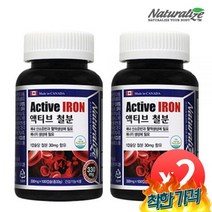 액티브 철분 x 2병 약 6개월분 청소년 임산부 철분제 산모 영양제