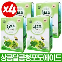 Tsm 타이거마마 내몸에 청포도에이드 3+1