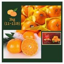 천혜향 제철 제주 천혜향 가정용 선물용 3kg(11-13과) [초록자연]