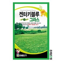 켄터키블루그라스 1kg/ 서양잔디 골프장잔디 정원용잔디