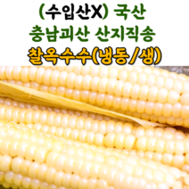 산지직송 충북 괴산 대학 찰 옥수수 냉동옥수수 생옥수수 삶은옥수수, 냉동_삶은찰옥수수_300g 이하 17cm이하(3입), 5팩
