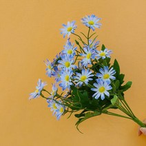 아트박스/샤이닝홈 이너스 조화 생생 데이지 부쉬 1P, 단품