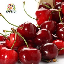 [비티원후르츠] [항공직수입]칠레 싱싱체리 2.5kg(10row), 상세 설명 참조