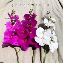 그린월드 조화 호접란가지_3color, 진한자주색