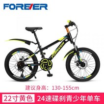 몽구스 mtb 산악 티타늄자전거 다혼스피드D9 제트스트림 사바파이크 k3 팻바이크 티티카카 자이언트, 20 인치, E9 24단