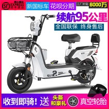 2인승 전동 스쿠터 2인용 전기 이륜차 오토바이, 블루   12A   48V22AH