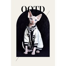 chol 스핑크스 고양이 샤샤풍 클래식 흑백 스웨터, 2층 진주 목걸이만