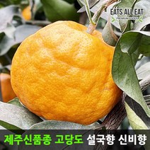 이츠올릿 제주 감귤 이영자 고당도 설국향 수라향 3kg 신비향 아스미 천혜향 레드향 신품종
