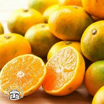 서귀포 하례마을 하우스감귤 5kg (꼬마과 100과 내외 실중량), 단품
