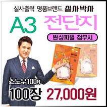 소량전단지, 100장, A3-단면