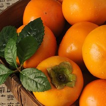이베따 단감 10kg(41-50과)