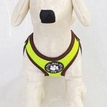 소포라 슬림핏 안정적인 착용 또사구 슬림메쉬 강아지 하네스 형광 [S] E-1656413