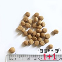 부드러운 장모치와와밥 프리미엄 중형견사료 오래먹는 콜리주식 균형영양 10KG