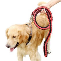 선데이몽키 세트(목줄+리드줄) 대형견 중형견 개줄 체인 산책줄, 블랙/퍼플 L