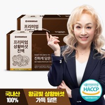 참앤들황토농원 프리미엄 국산 상황버섯진액 70ml x 30포 2박스, 없음, 2개